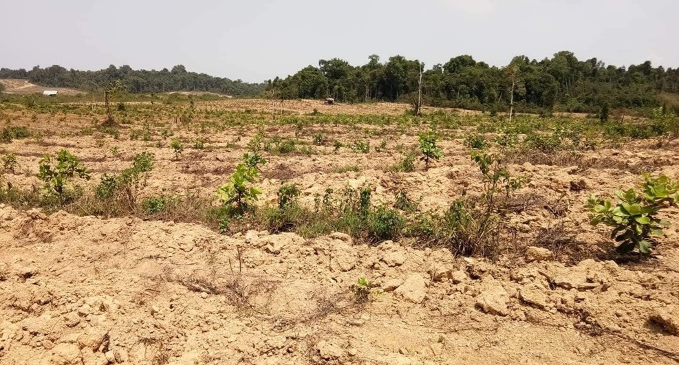 Thông tin từ đường dây nóng